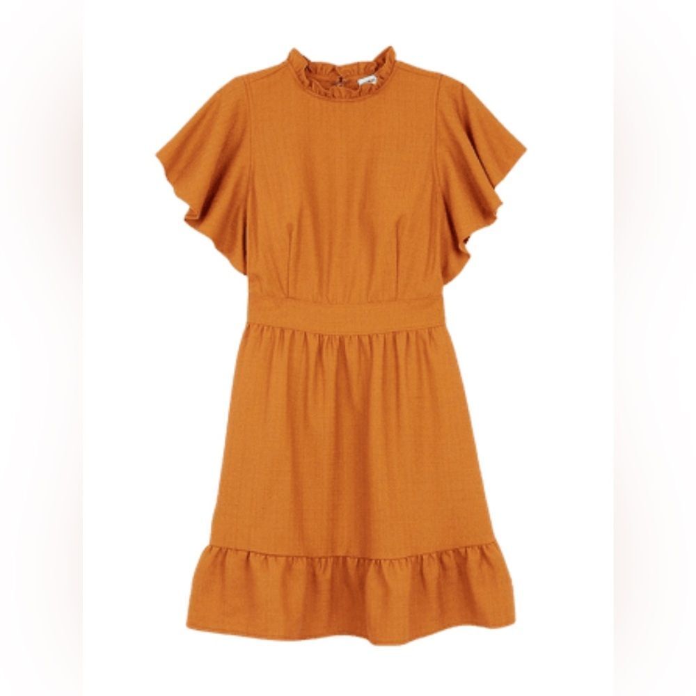 NWT Express X Ladygang Ruffle Neck Flutter Sleeve Dress Size 4